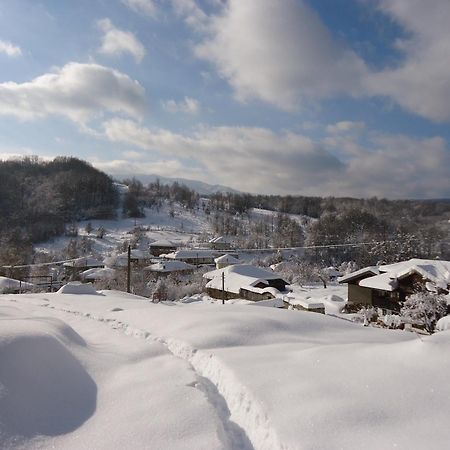 Kandaphery Guest Houses Miykovtsi エクステリア 写真