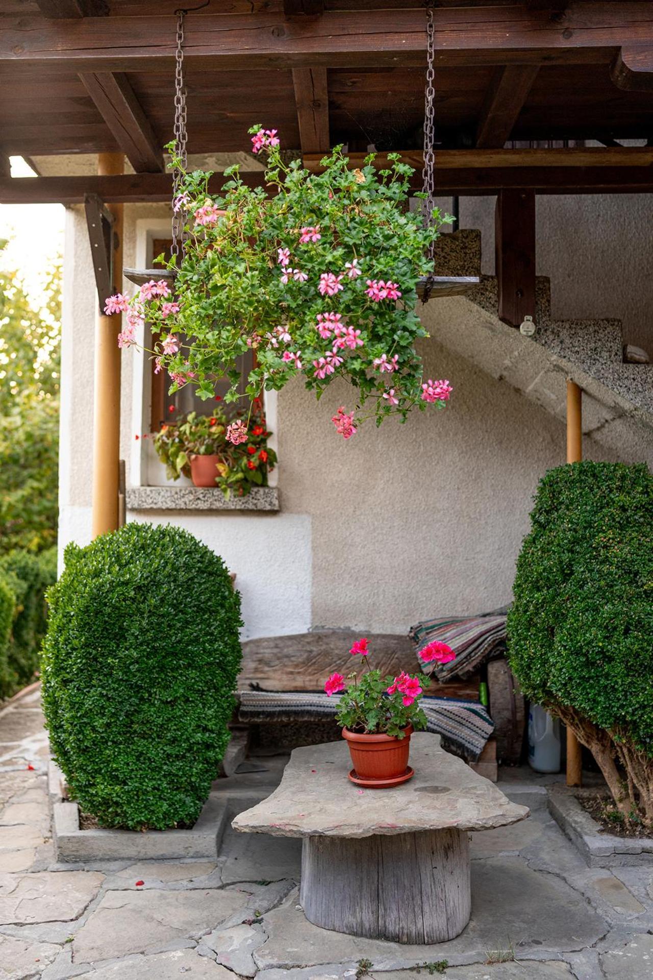 Kandaphery Guest Houses Miykovtsi エクステリア 写真