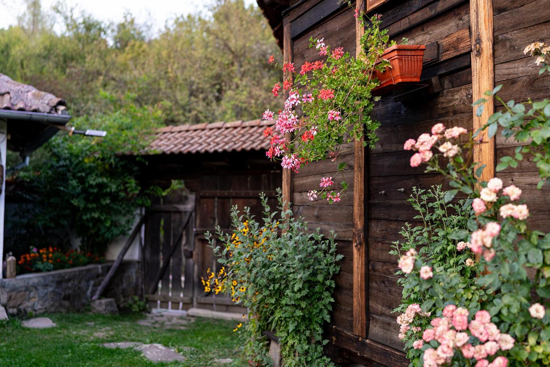 Kandaphery Guest Houses Miykovtsi エクステリア 写真