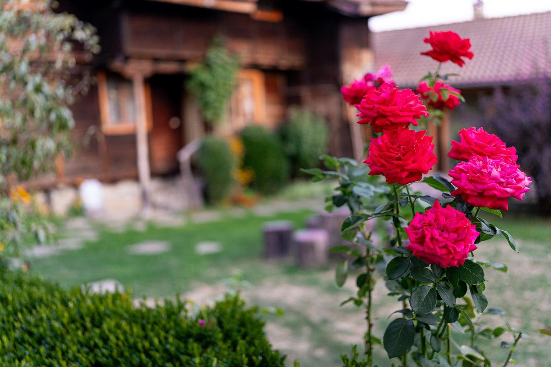 Kandaphery Guest Houses Miykovtsi エクステリア 写真